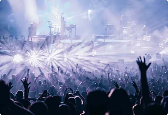 Fans enjoying a live concert at Summerfest