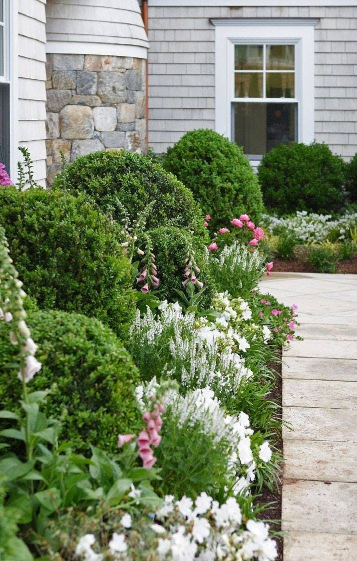 a garden with bushes and a building