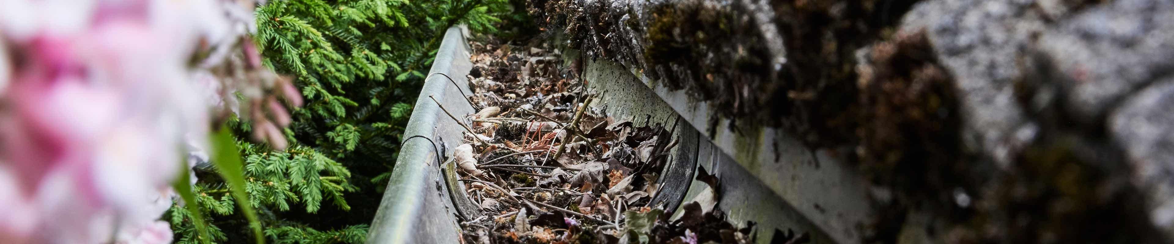 Image of combustible leaves and twigs in a gutter.