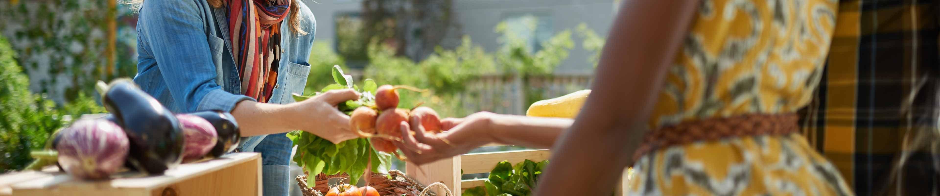 Selling produce at a farmers market.